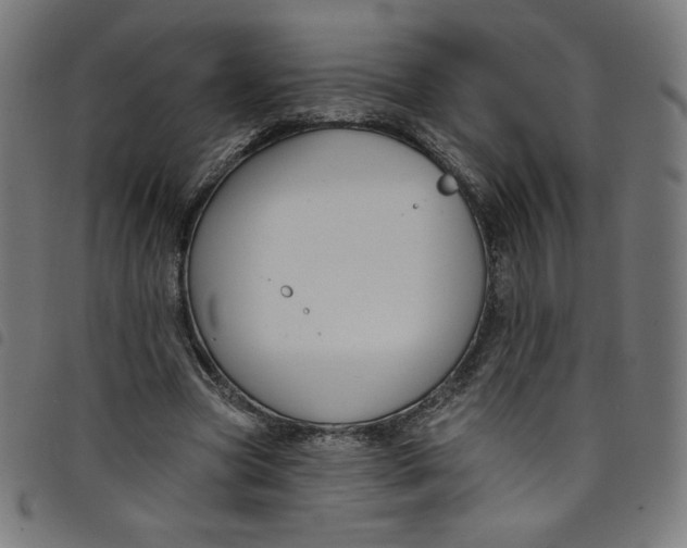 X0000098090537200804251257