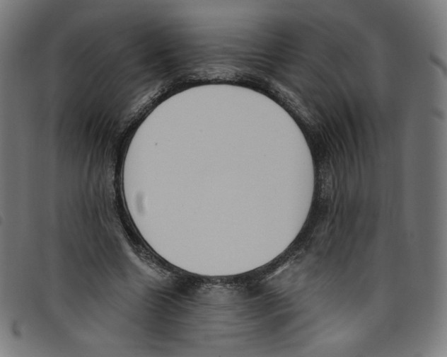 X0000098090538200804251257