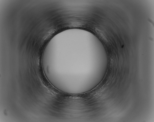 X0000098090539200804251257