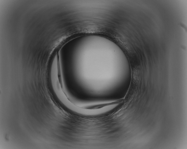 X0000098090540200804251257