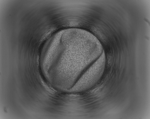 X0000098090542200804251257