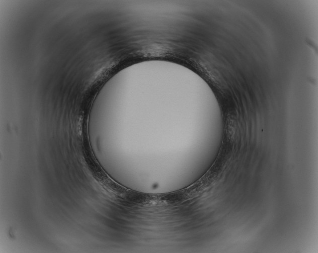 X0000098090543200804251257