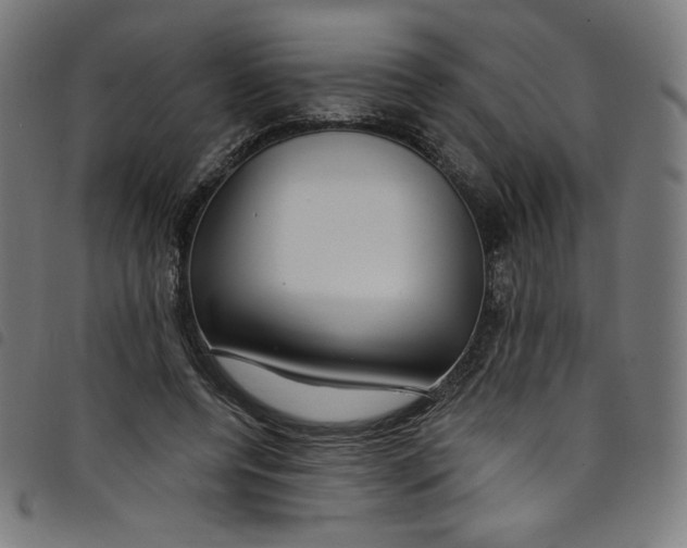 X0000098090544200804251257