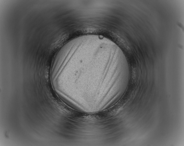 X0000098090545200804251257