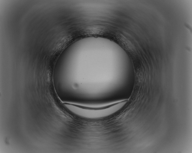 X0000098090546200804251257