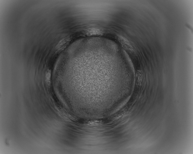 X0000098090550200804251257