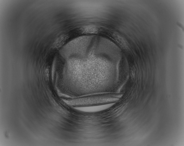 X0000098090551200804251257