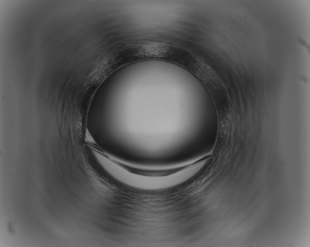 X0000098090552200804251257