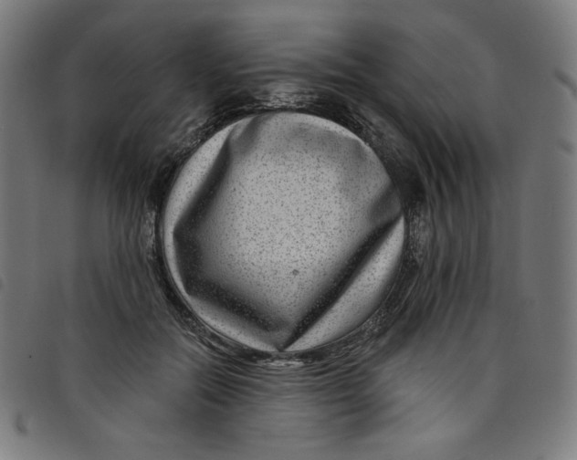 X0000098090554200804251257