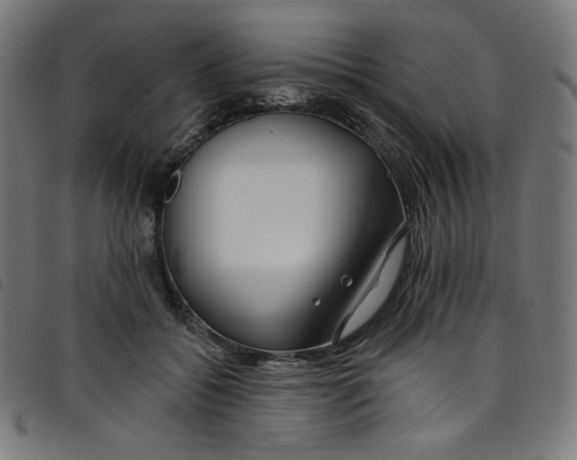 X0000098090556200804251257