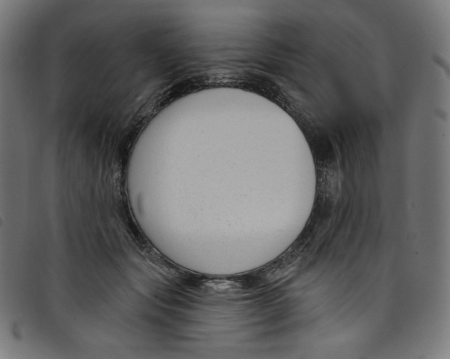 X0000098090557200804251257