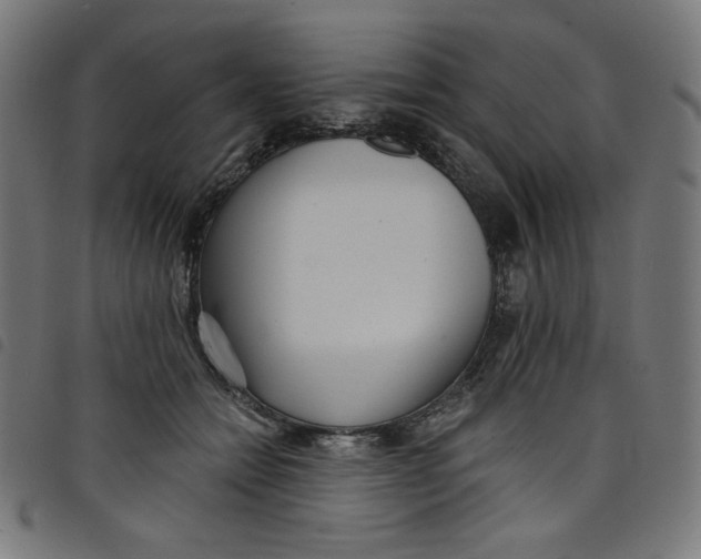 X0000098090558200804251257