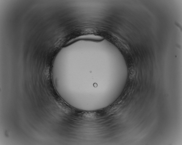 X0000098090560200804251257