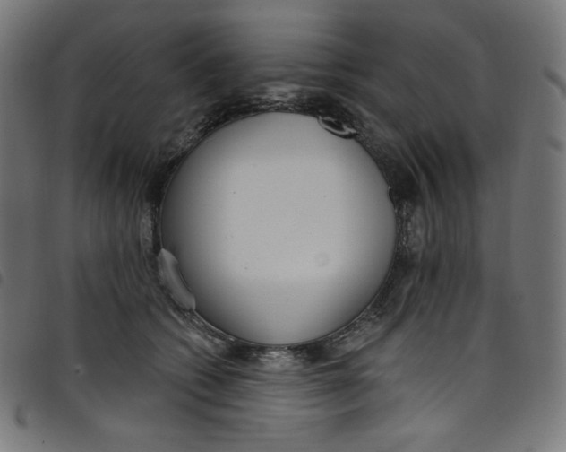 X0000098090562200804251257