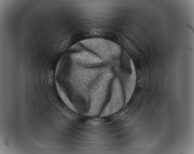 X0000098090563200804251257