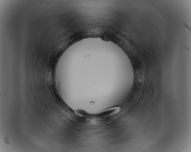 X0000098090564200804251257