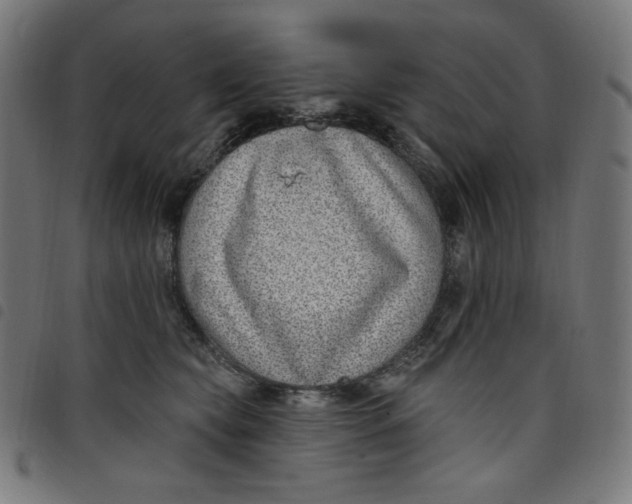 X0000098090565200804251257