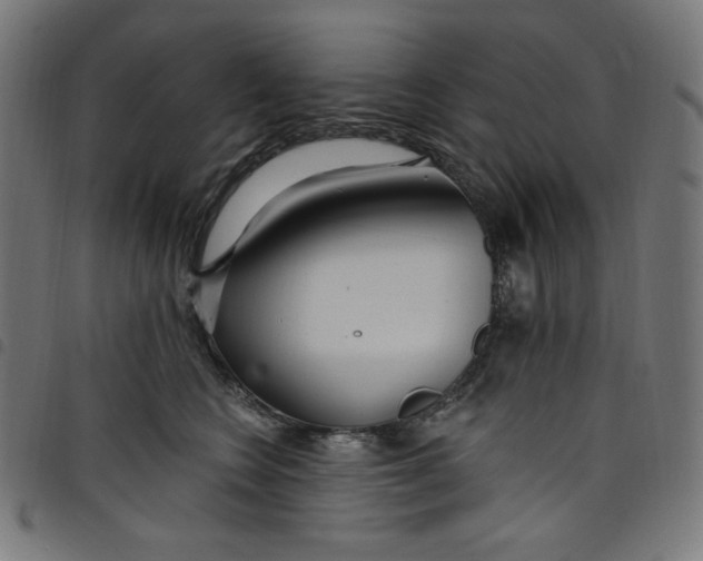 X0000098090566200804251257