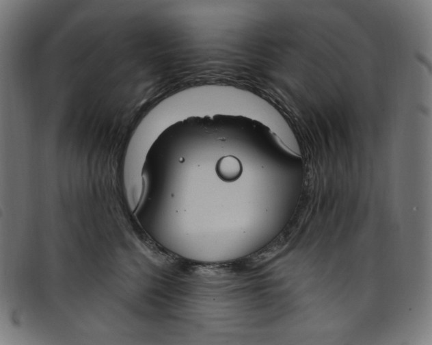 X0000098090568200804251257