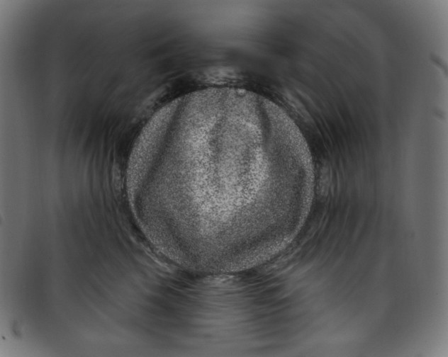 X0000098090569200804251257