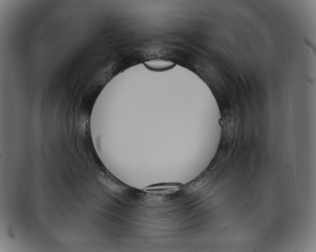 X0000098090574200804251257