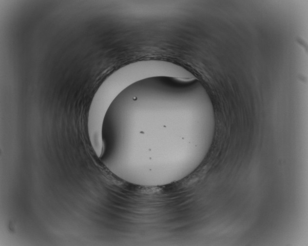 X0000098090576200804251257