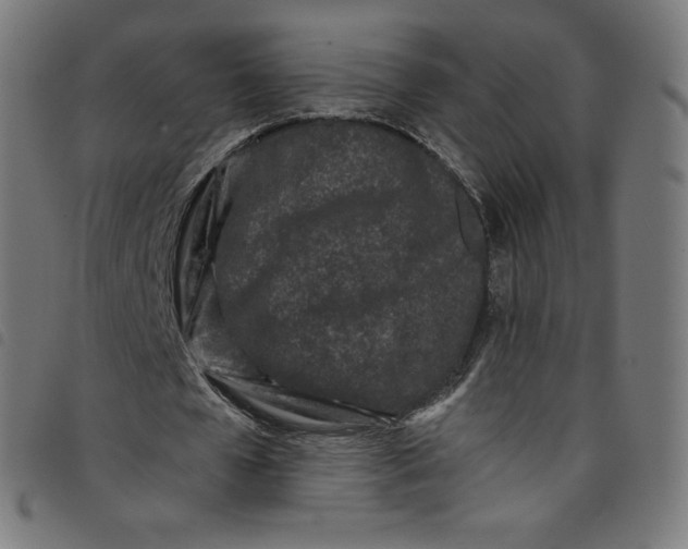 X0000098090577200804251257