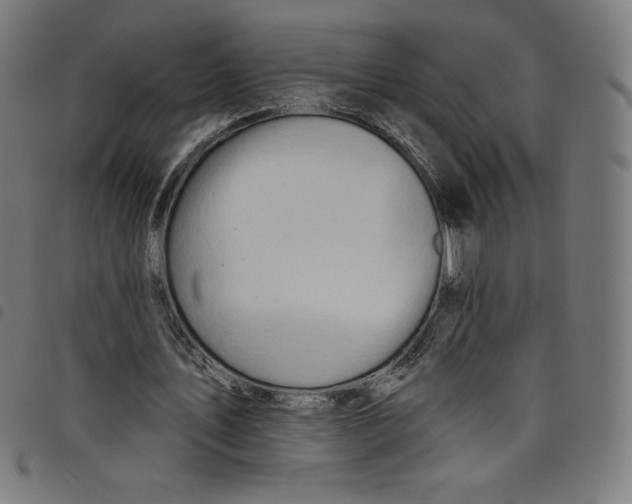 X0000098090579200804251257