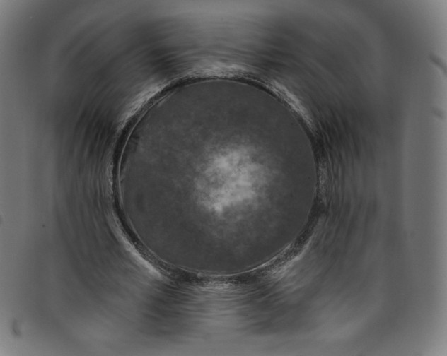 X0000098090581200804251257