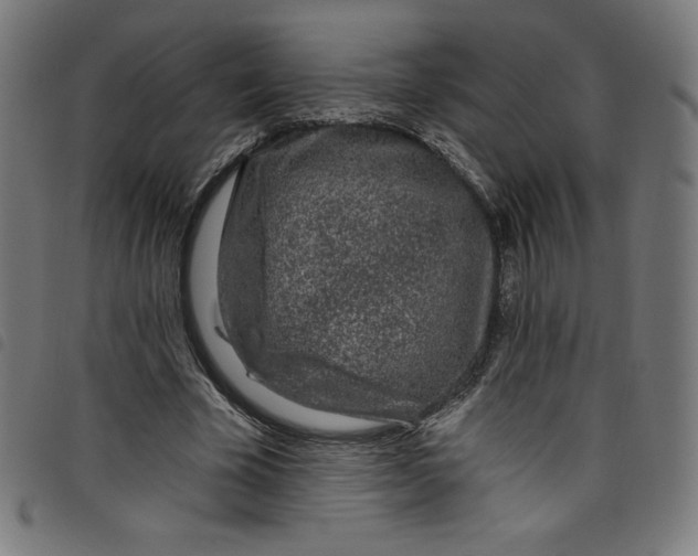 X0000098090585200804251257