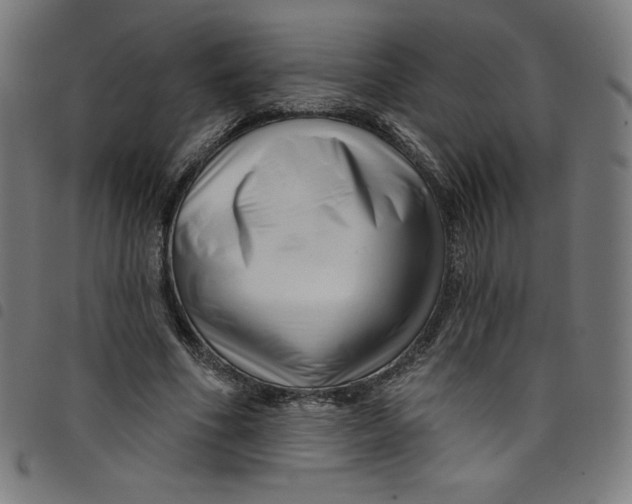 X0000098090586200804251256