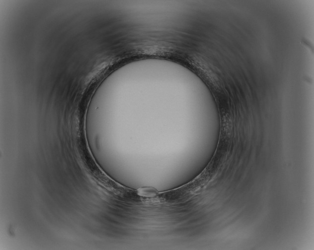 X0000098090587200804251256