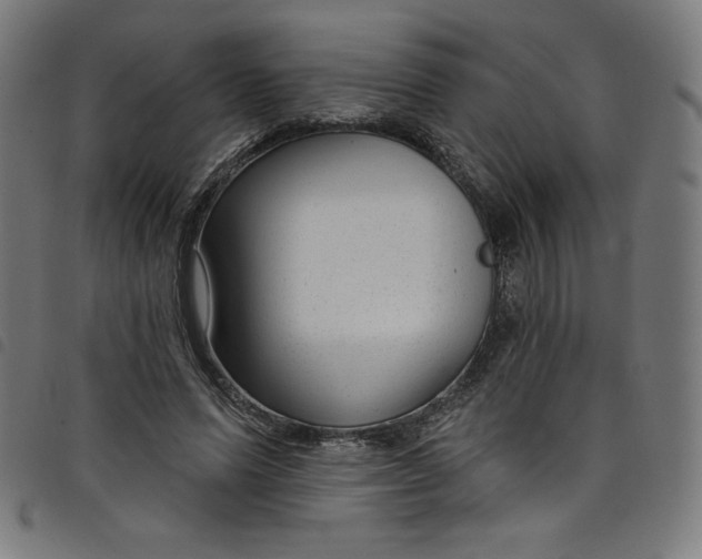 X0000098090591200804251256