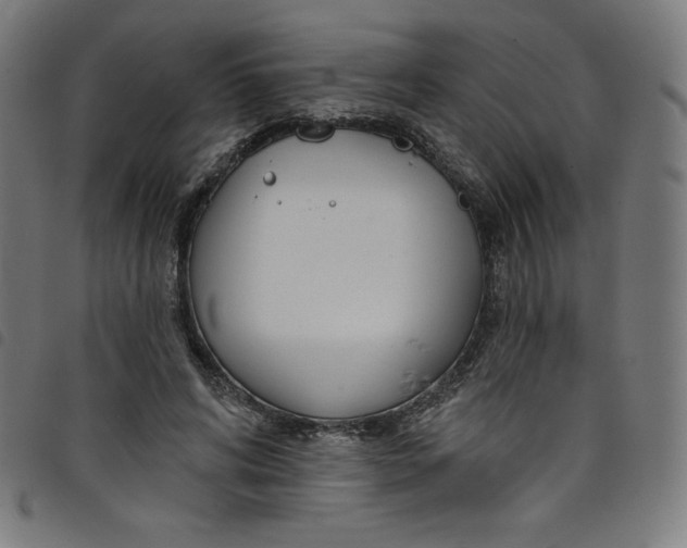 X0000098090592200804251256