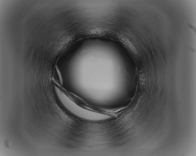 X0000098090593200804251256