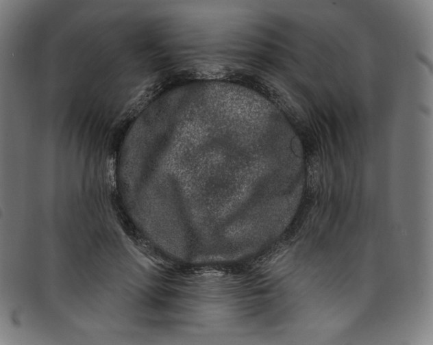 X0000098090598200804251256