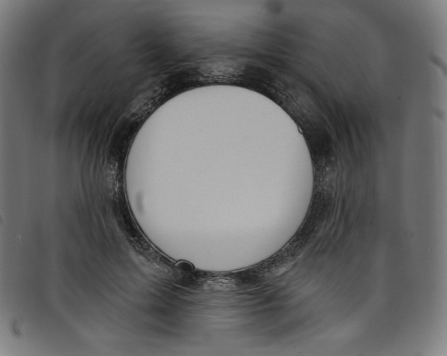 X0000098090599200804251256