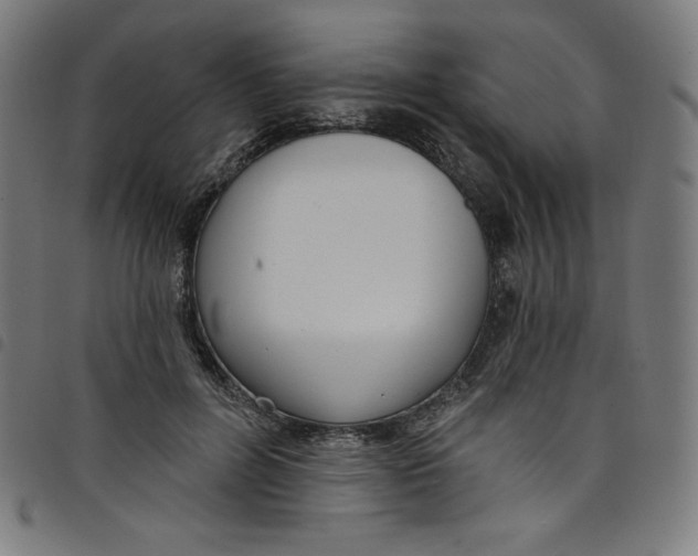 X0000098090600200804251256