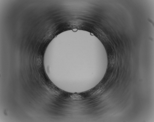 X0000098090603200804251256