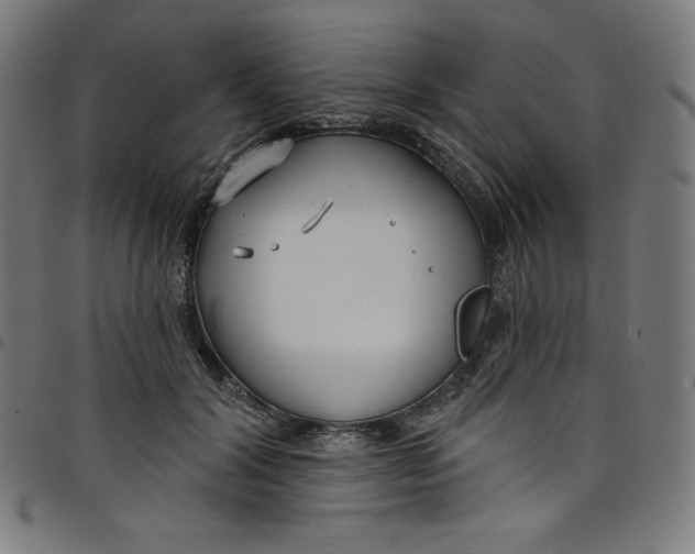 X0000098090604200804251256