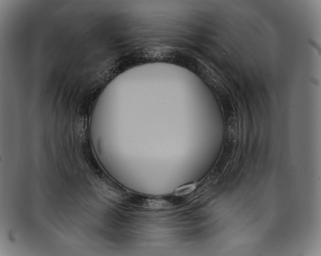 X0000098090605200804251256