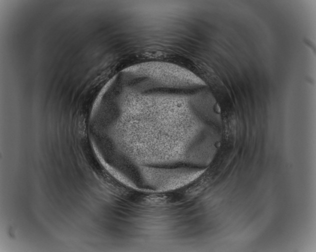 X0000098090606200804251256