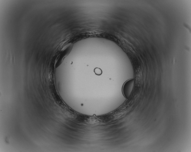 X0000098090608200804251256