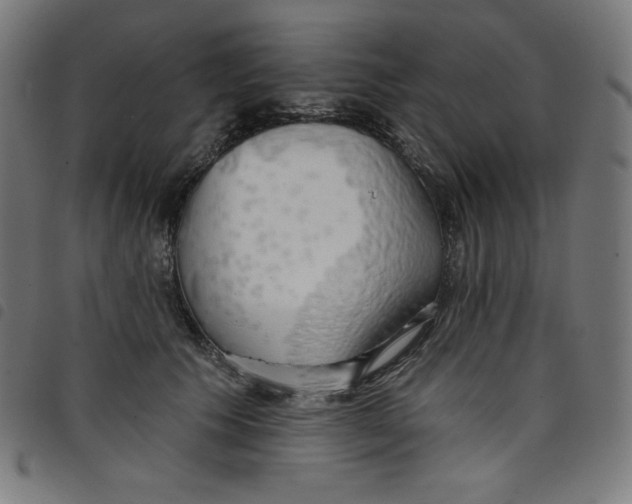 X0000098090609200804251256