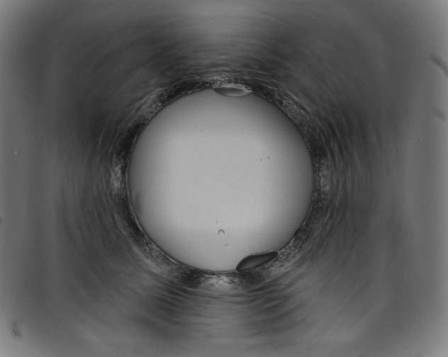 X0000098090611200804251256