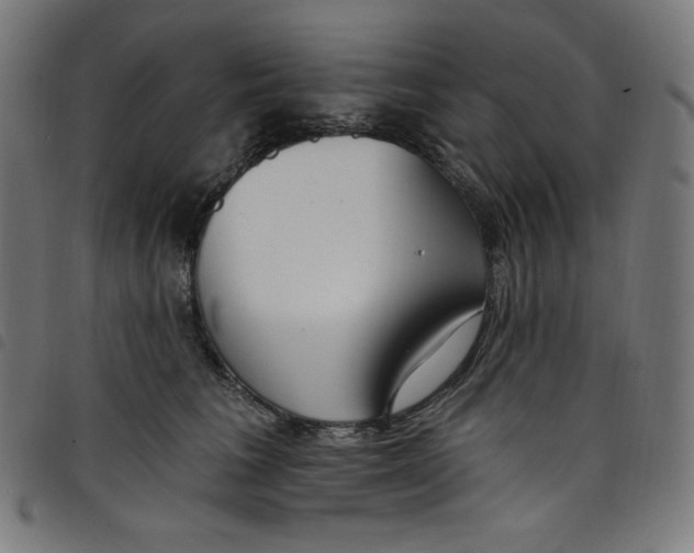 X0000098090613200804251256