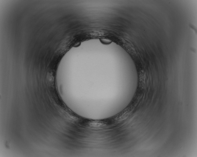 X0000098090614200804251256