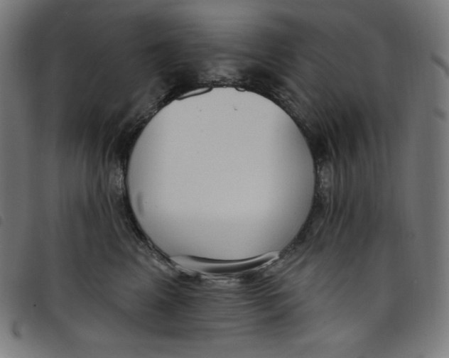 X0000098090617200804251256