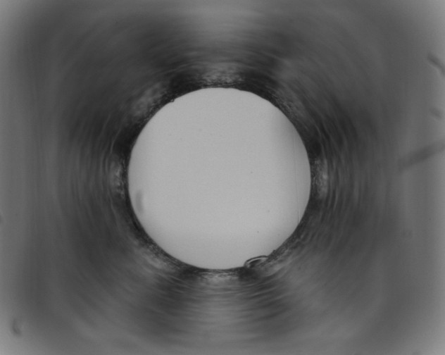 X0000098090619200804251256