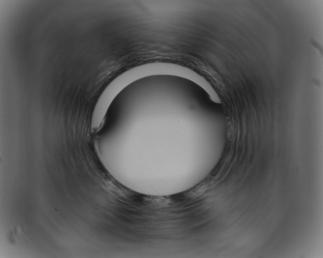 X0000098090621200804251256